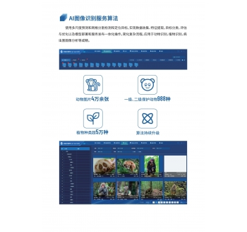 AI 圖像識(shí)別服務(wù)算法